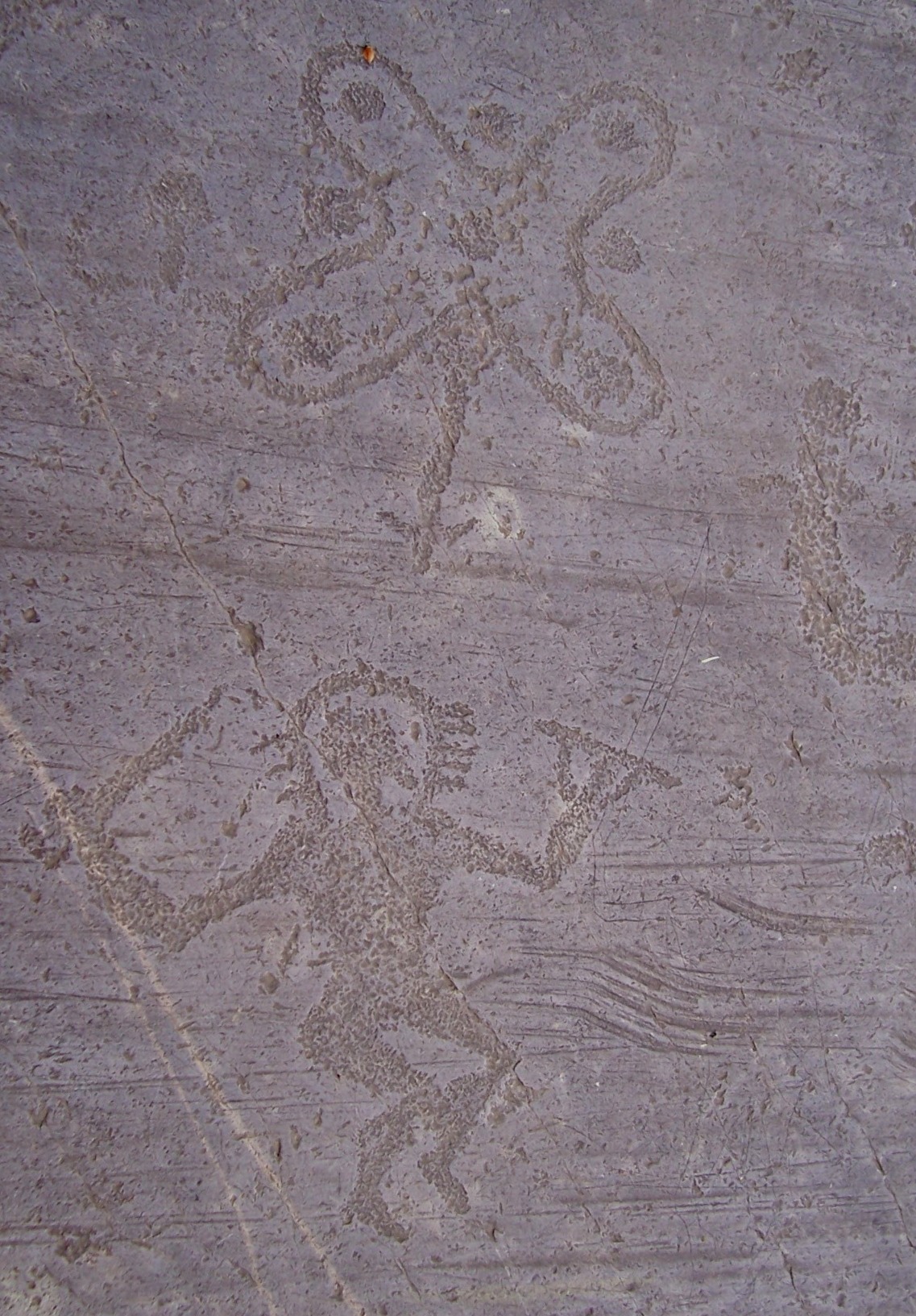 L'agilipet ancestral